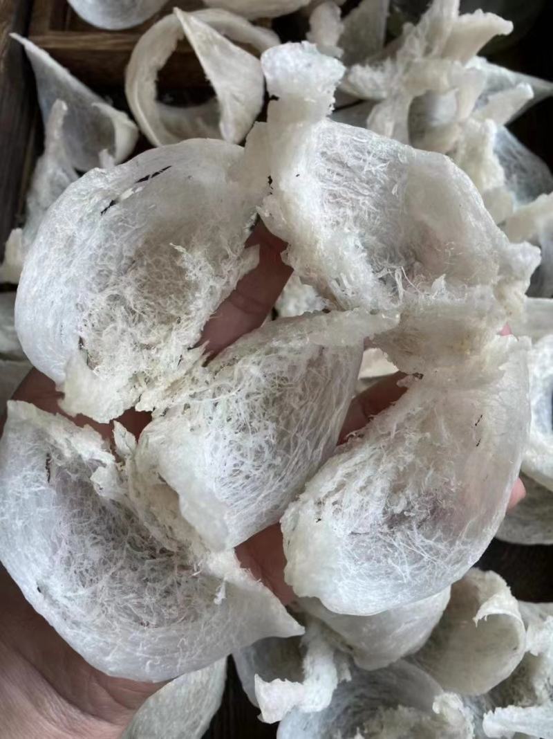 燕窝干挑大盏，粗丝厚肉，盏盏囊丝饱满，泡发率高