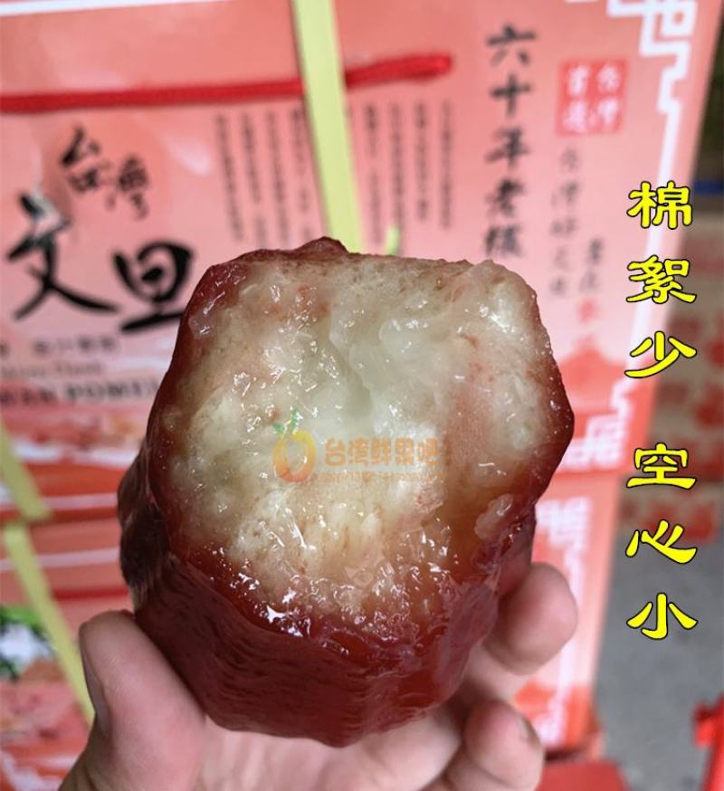 大叶红黑金刚莲雾苗黑珍珠莲雾苗当年种植结果南北方可种植