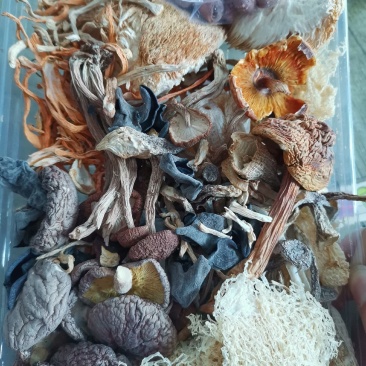 菌汤包干货菌汤包十种菌料广式煲汤料