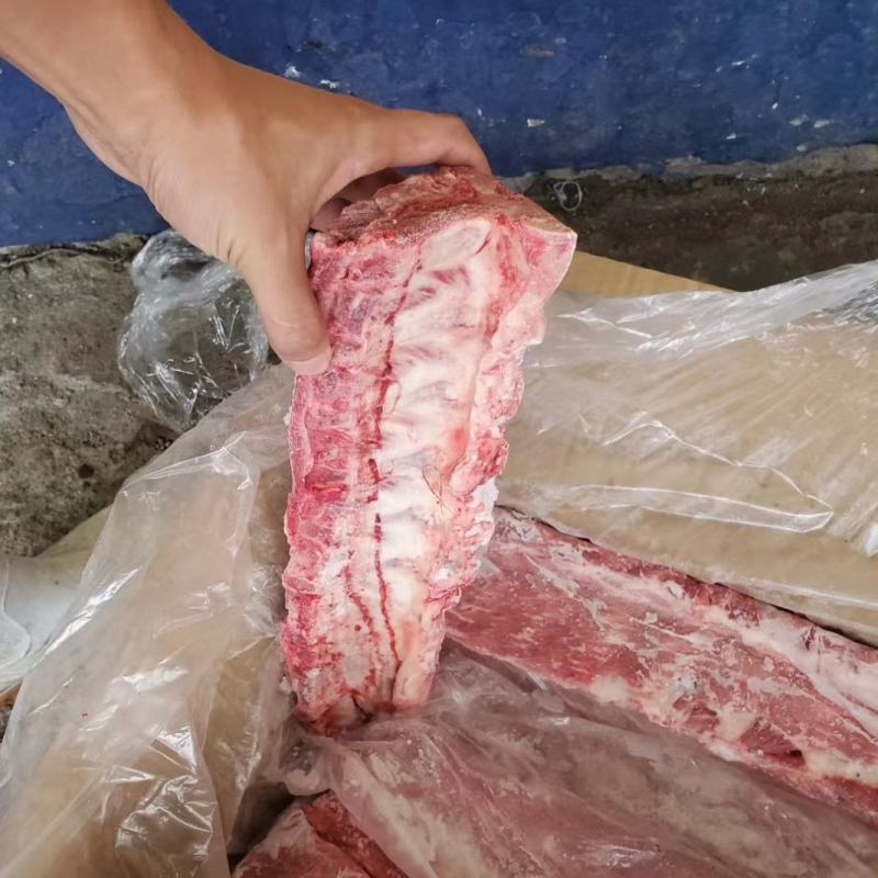 山东冻猪龙骨品质保证产地直发可视频看货欢迎咨询