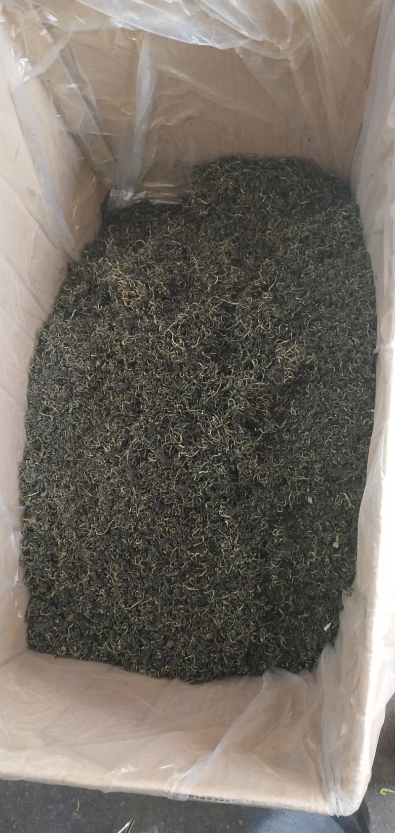 2024新货蒲公英茶整棵蒲公英新鲜泡水婆婆丁茶