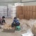 竹荪菌干货无杂质无干燥剂产地发货