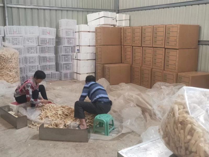 竹荪菌干货无杂质无干燥剂产地发货