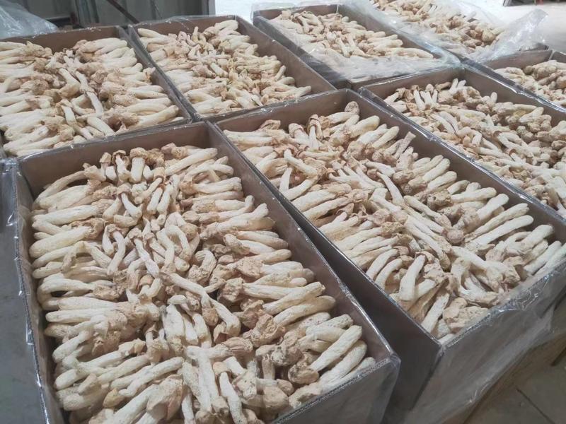 竹荪菌干货无杂质无干燥剂产地发货