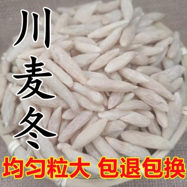 正品四川绵阳川麦冬麦门冬天冬粒粒饱满质量好