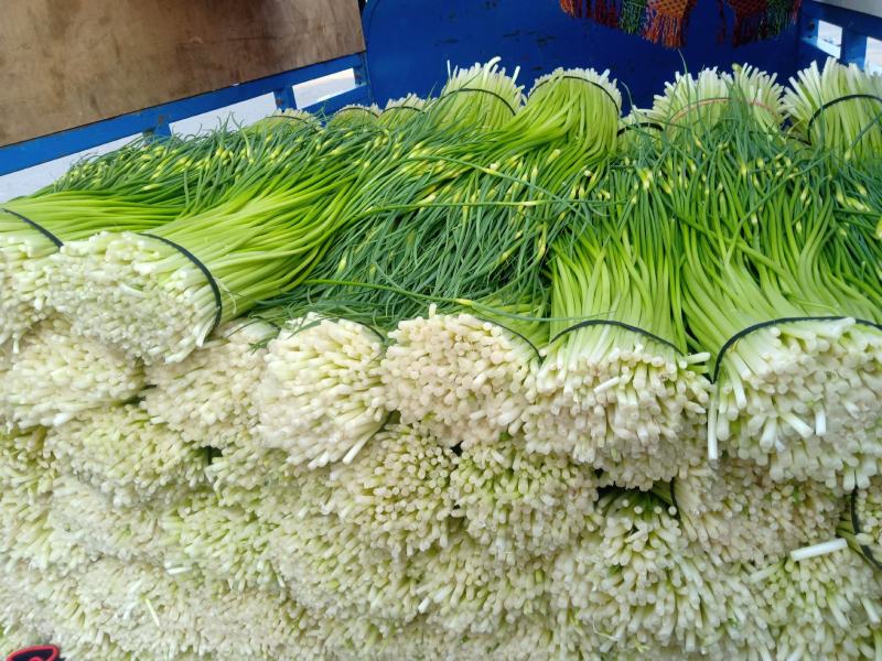 蒜苔大量上市，支持冰车，代装，