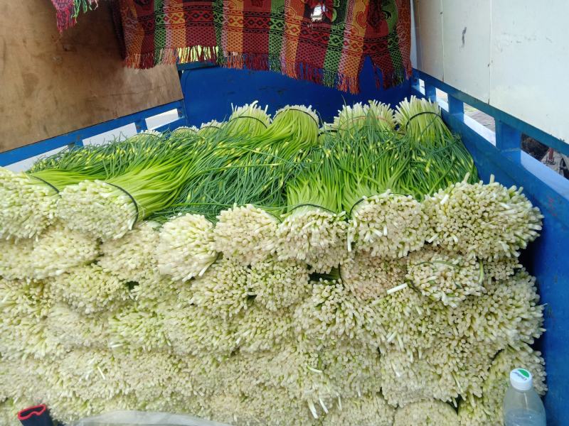 蒜苔大量上市，支持冰车，代装，
