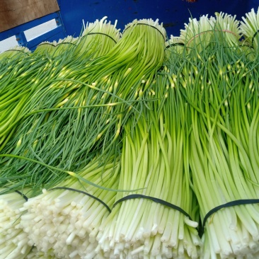 蒜苔大量上市，支持冰车，代装，