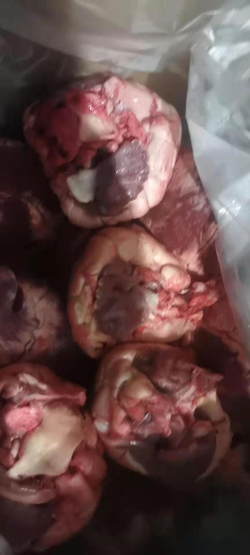 国产牛心个大无水纯干货手续齐全质量保证