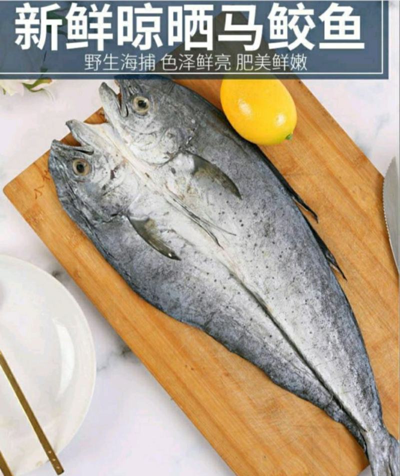 鲅鱼干马鲛鱼干渔民自晒的海鲜干货鲜香美味