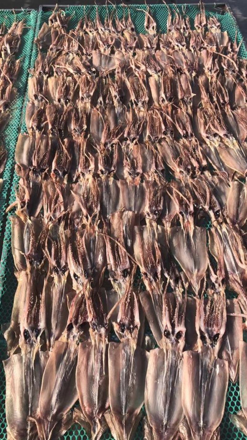 朝鲜鱿鱼原料头50-60克北朝真鱿全规格朝鲜基地直接出货