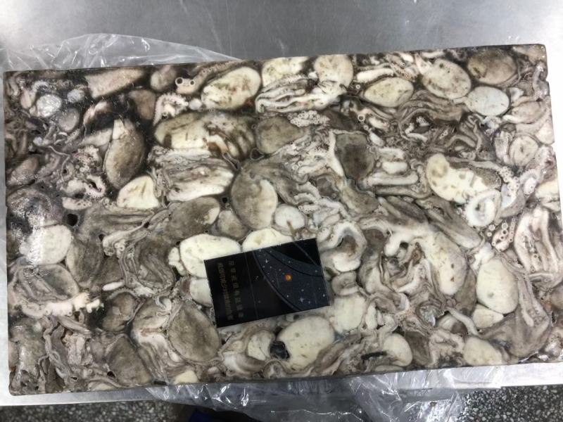 原浆没有泡水八爪鱼原料坐标丹东东港海源水产