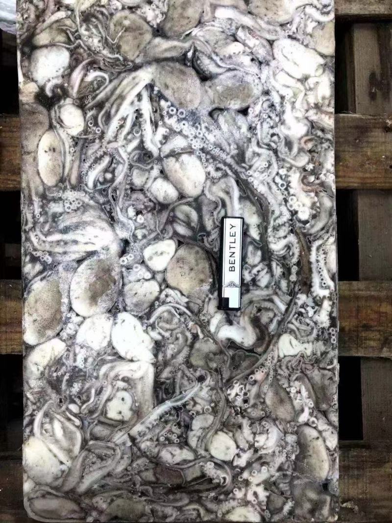 原浆没有泡水八爪鱼原料坐标丹东东港海源水产