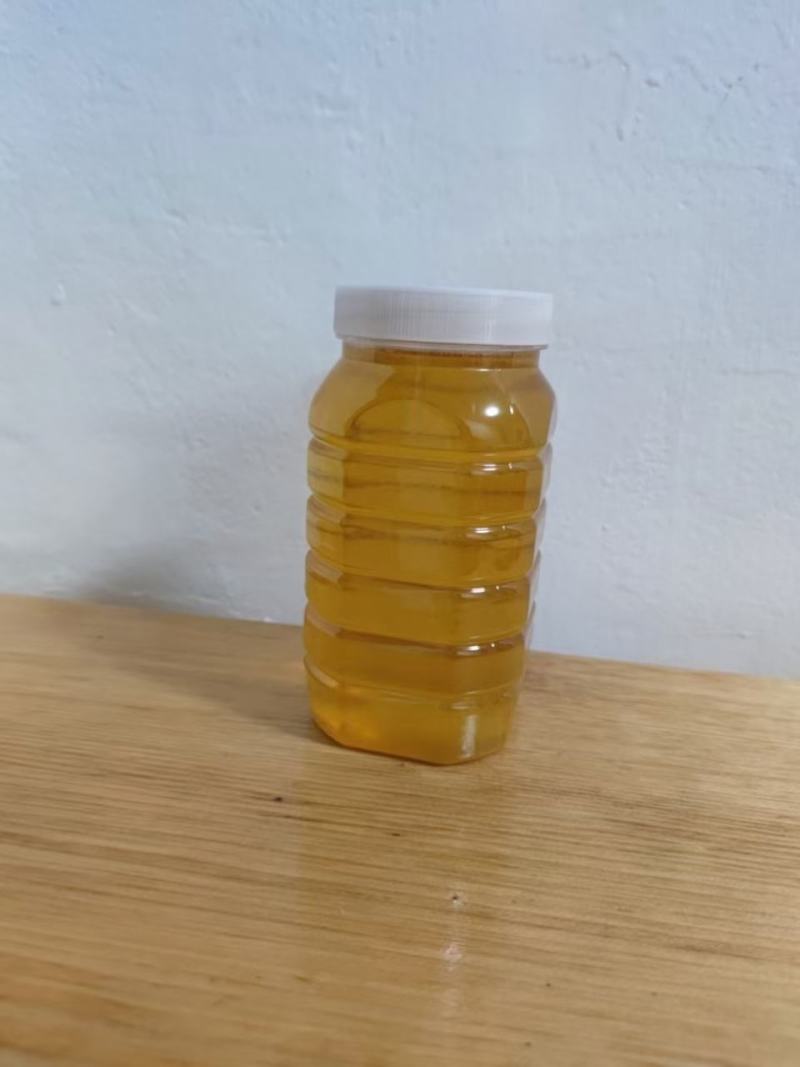 长白山老克里湖森林原蜂蜜