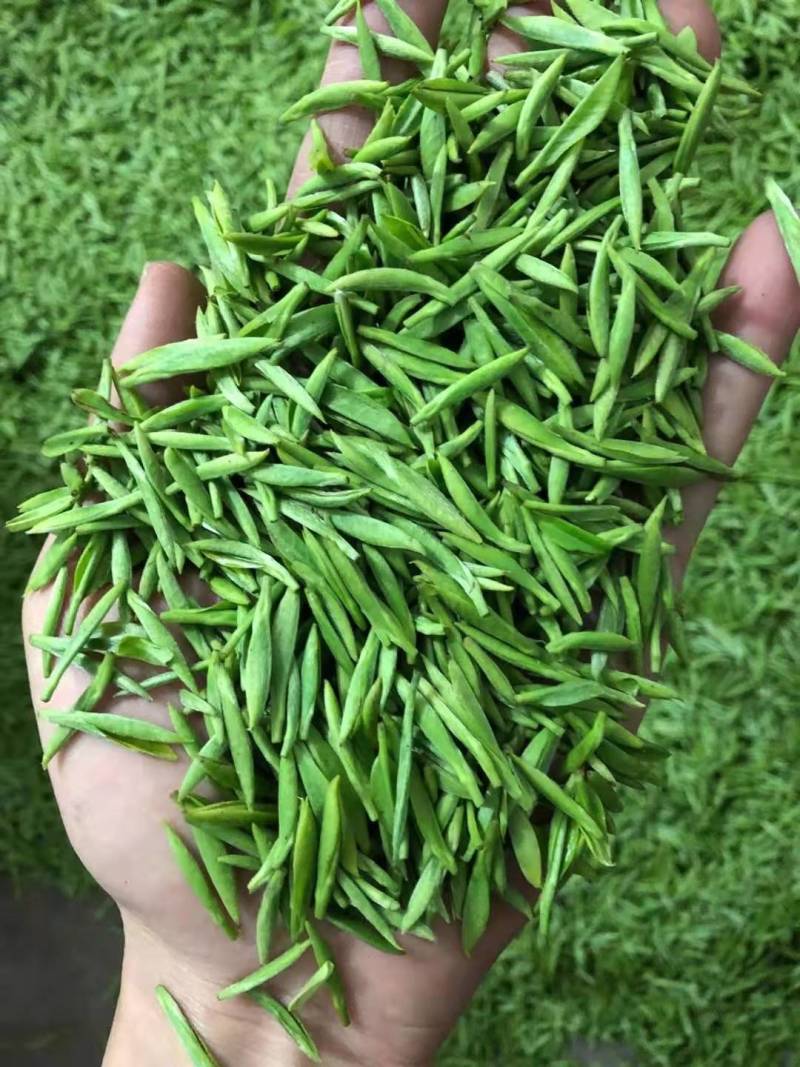 沐川茶叶自产自销量大从优