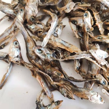 高蛋白鱼干指标高诱食性强