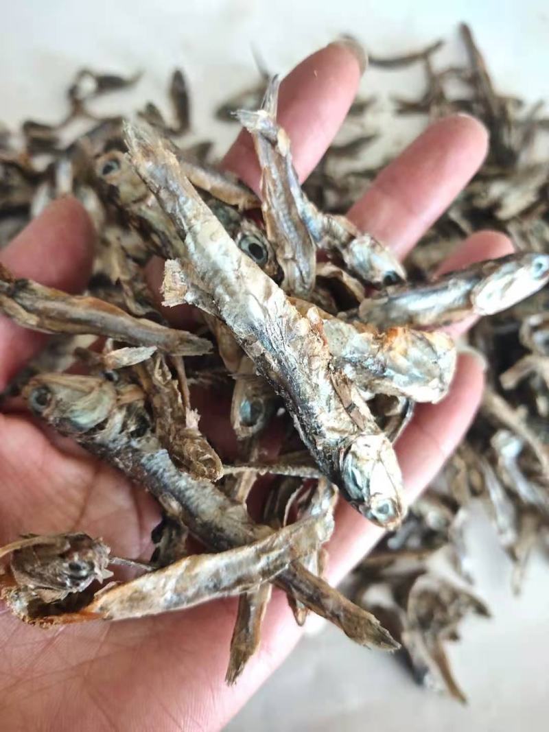 高蛋白鱼干指标高诱食性强