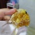 土蜂蜜，化橘红基地自产蜂蜜，一年采两次蜜，春蜜，冬蜜。