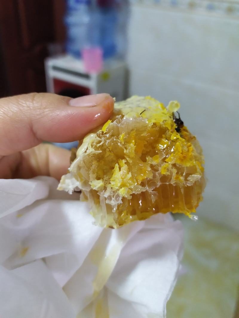 土蜂蜜，化橘红基地自产蜂蜜，一年采两次蜜，春蜜，冬蜜。