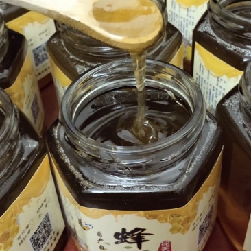 土蜂蜜，化橘红基地自产蜂蜜，一年采两次蜜，春蜜，冬蜜。