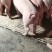 【精品三元仔猪】防疫齐全，基地直供，包成活率，全国发货