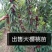 俄8大樱桃苗，耐寒品种，南北方都可以种植