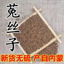 中药材内蒙菟丝子选货优质新货菟丝子保证含量不