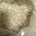 发达面粉厂出售面粉面条麸皮次粉