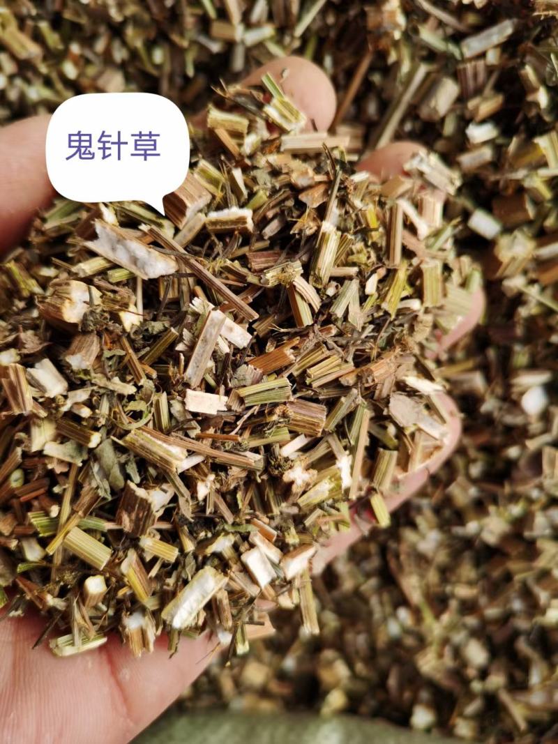 鬼针草，金盏银盘，长寿草，经营各种中药材欢迎咨询合作！