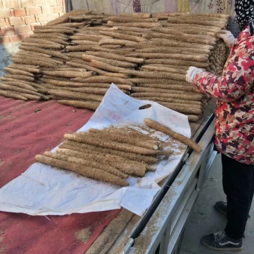 白玉山药，大量供应馆陶县众康果品