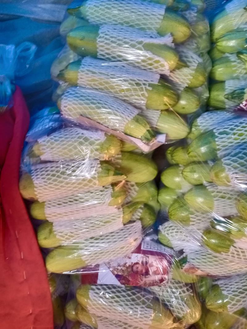 西葫芦，合作社，基地直供，，货源充足，当天采摘