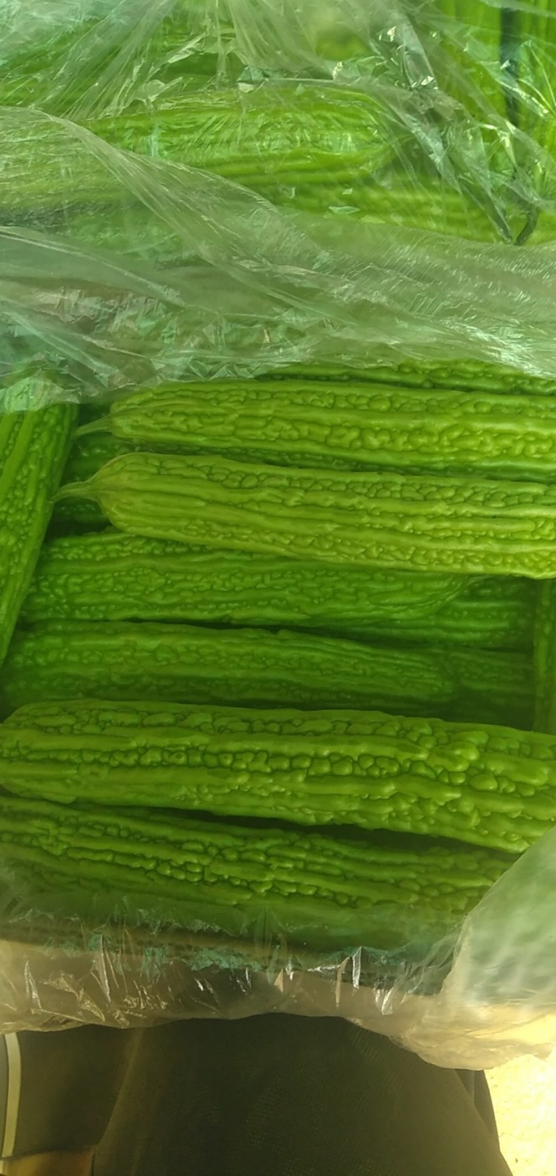 邳州苦瓜，刚开园的苦瓜，条直长，颜色好，需要联系