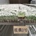 香蕉树苗南方四季苹果蕉红皮矮化芭蕉抗寒室内盆栽种植水果树