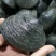 天鹅蛋，大蛤，鲜活空运，全国发货，紫房石蛤