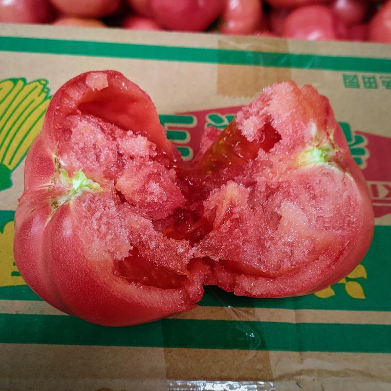 沙瓤普罗旺斯水果西红柿番茄甜度达标口感非常好欢迎订购