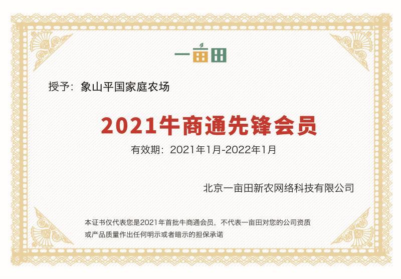 象山黄美人橘苗，正宗粗壮，货源充足，保湿邮寄，保质保量！