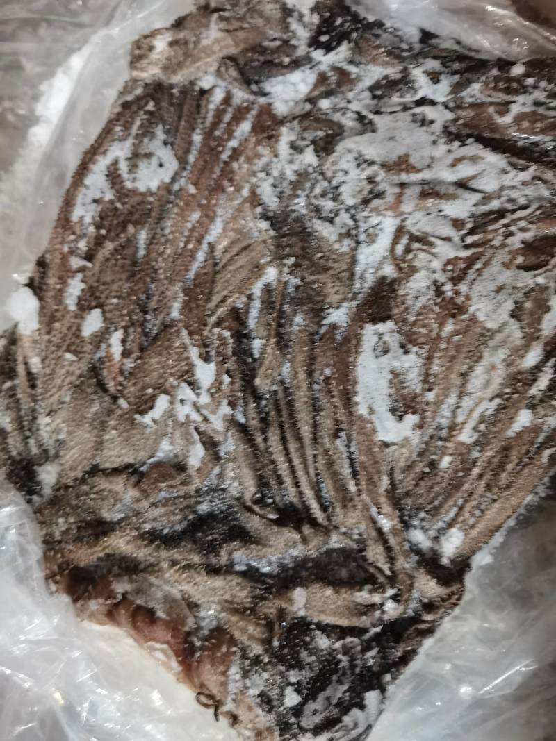 牛副产品-牛百叶冻百叶，无掉毛，质量保证，大量现货