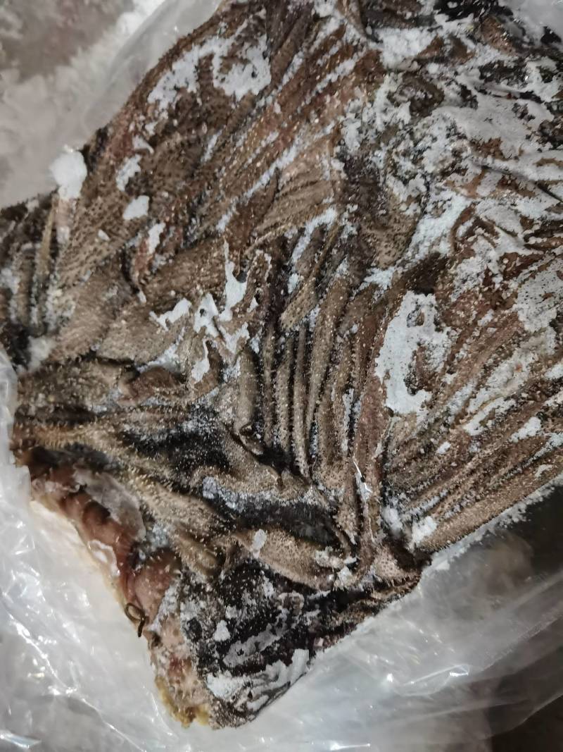 牛副产品-牛百叶冻百叶，无掉毛，质量保证，大量现货