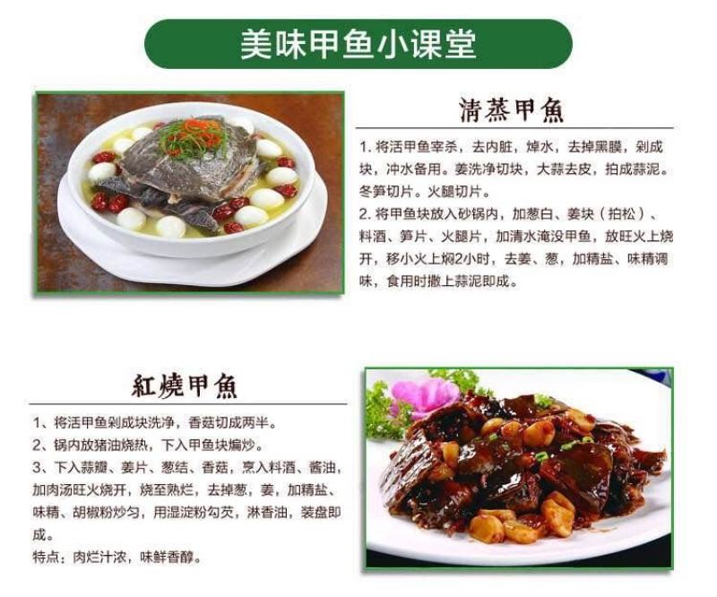 包邮包活！外塘甲鱼，一只包邮到家，生态环境外塘甲鱼