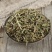 透骨草中草药各种草药类批发无硫正品净货