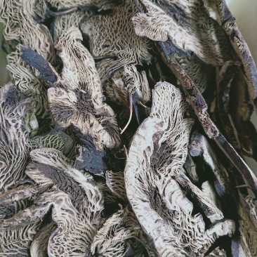 升麻，升麻片个质量保证，经营各种中药材，欢迎咨询合作！