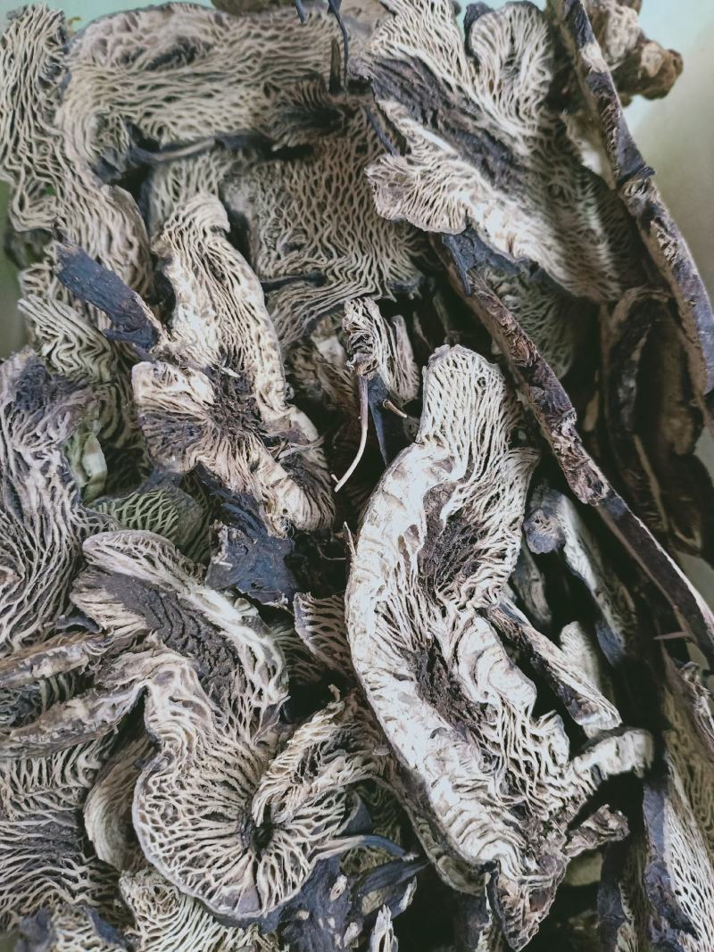 升麻，升麻片个质量保证，经营各种中药材，欢迎咨询合作！