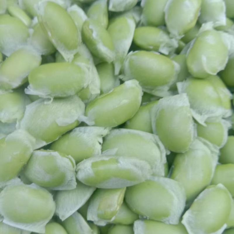 本地毛豆翠绿宝毛豆大量上市产地直发一手货源，可视屏看货