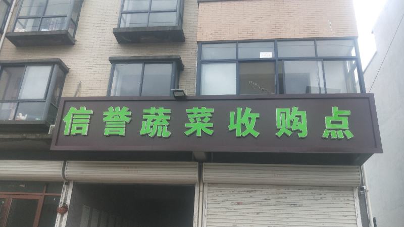 徐州新沂万亩西芹精品细棵水洗芹菜蔬菜55-60产地直供