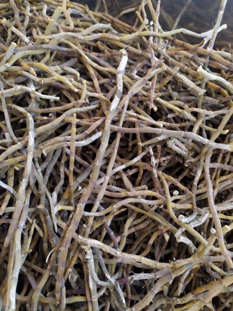 浙江品种铁皮石斛干条，芽条，新货，全化渣，基地直发