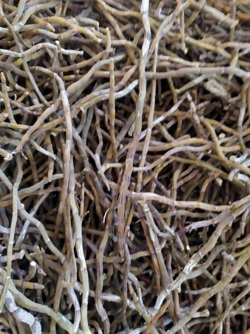 浙江品种铁皮石斛干条，芽条，新货，全化渣，基地直发