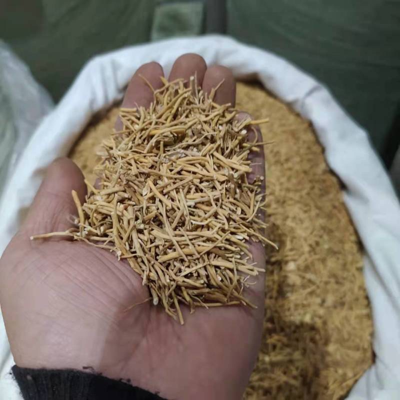 白薇产地直供支持线上交易可搭配多品种采购大货联系客服