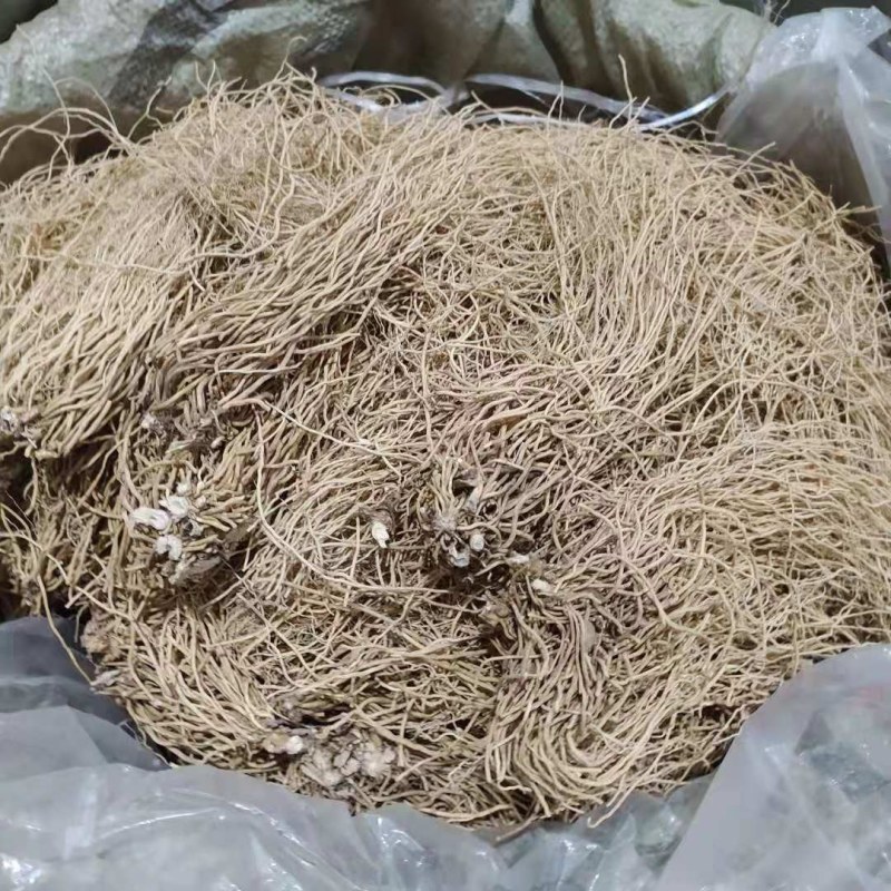 白薇产地直供支持线上交易可搭配多品种采购大货联系客服