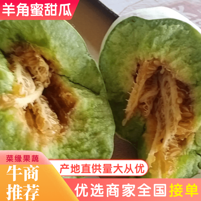 河北羊角蜜博洋61甜瓜大量供应全国接单微商电商代理