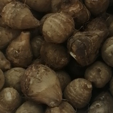芋头，大果，中果，小果